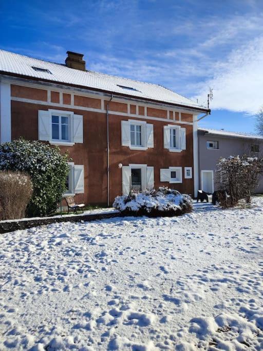 Gite Cosy Avec Avec Jardin Et Parking Privatifs - Hautes Vosges Saint-Ame Exterior photo